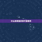 什么热带鱼好养不容易死，新手，请推荐几种最好养的热带鱼，怎么养都养不死