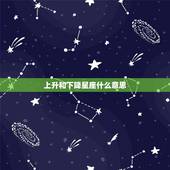 上升和下降星座什么意思，下降星座代表什么