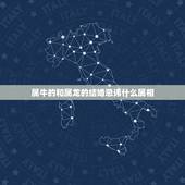 属牛的和属龙的结婚忌讳什么属相，1988年属龙的能跟属牛的的结婚吗