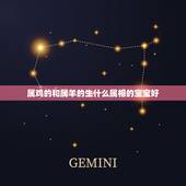 属鸡的和属羊的生什么属相的宝宝好，属虎女2023年运势及运程每月运程