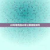 69年母鸡和68年公猴婚配如何，六八年属猴的男人和六九年属鸡的女人婚姻