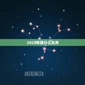 2023年属什么生肖，2023年至2030年是什么生肖年