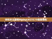 林哈夫大画幅8&amp;#215;10金属相机，星座810大画幅相机有那些