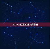 2023人口正式进入负增长，人口负增长第一的是哪个