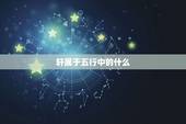 轩属于五行中的什么，轩字的五行属性是什么？
