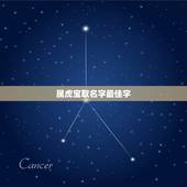 属虎宝取名字最佳字 虎年宝名字大全