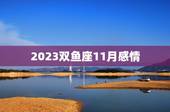 2023双鱼座11月感情，双鱼座2023年最终感情归宿