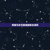 男猪与女牛属相婚配合适吗，属猪的人和属牛的人属相相配吗？