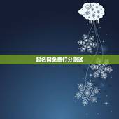 起名网免费打分测试，免费起名网测名打分