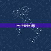黄历2023版本(全新上线告诉你2023年的吉凶祸福)