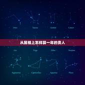 从属相上怎样算一年的贵人，生肖贵人是什么意思