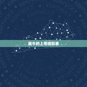 属牛的上等婚配表，属牛的最佳婚配