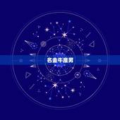处女座女喜欢哪个星座男(星座大介绍)