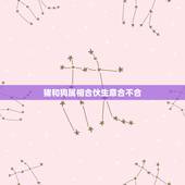 猪和狗属相合伙生意合不合，属猪的和属狗的是否合伙做生意