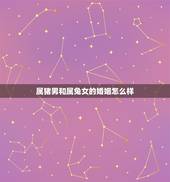属猪男和属兔女的婚姻怎么样，属猪男和属兔女的婚姻怎么样