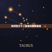 如何区分十二星座的属相星座，十二星座属相分类