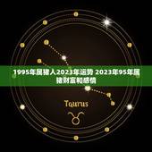 1995年属猪人2023年运势 2023年95年属猪财富和感情
