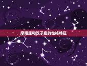 为什么摩羯治双子一绝(星座专家介绍)