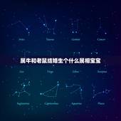 属牛和老鼠结婚生个什么属相宝宝，属牛和属鼠的孩子是什么属相最好