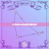 82狗和84鼠相配婚姻如何，请问女82年，属狗，和男84年，属鼠的婚姻