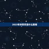 2023年辛卯月是什么属相，2023年正月二十四用干支历为什么是辛卯月