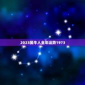 2023属牛人全年运势1973(牛转乾坤运势逆袭)