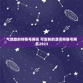 气飘飘的特殊号网名 可复制的漂亮特殊号网名2023