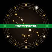 三合和六个合哪个最好 什么是三合什么是6合