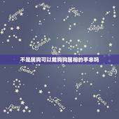 不是属狗可以戴狗狗属相的手串吗，属狗的佩带什么手链