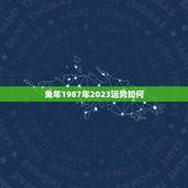 兔年1987年2023运势如何(2023年兔年运势大介绍)