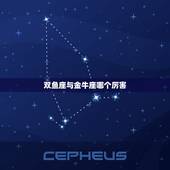 双鱼座与金牛座哪个厉害，狮子座和金牛座配吗