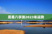 周易八字测2023年运势，周易八字测2023年运势详解
