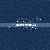 八七年属兔2023年运势(八七年属兔的人2023年运势预测)