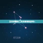 正月的猪和二月的猪婚配好吗，属猪的几月出生最好？属猪的属相婚配表