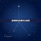 生肖属木代表什么生肖，十二生肖什么生肖属木