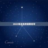 2023年出生的宝取名字，2023年男孩取名字寓意好的字