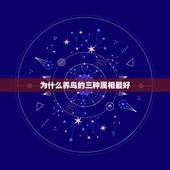 为什么养鸟的三种属相最好，属什么属相最好？