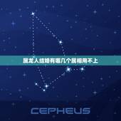 属龙人结婚有哪几个属相用不上，属龙人和什么属相不合