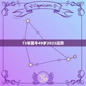 73年属牛49岁2023运势，1973年属牛48岁2023命运