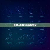 属狗人2023年运势如何，属狗的今年多大了2023