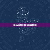 属马运势2023年双胞胎