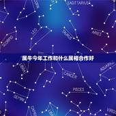 属牛今年工作和什么属相合作好，属鼠人和什么属相合作最好