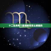 十二生肖每个属相都是怎么被骗的，属猪的和什么属相最配