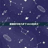 属猪的今年几岁了2023年多大(猪年生肖运势大介绍)