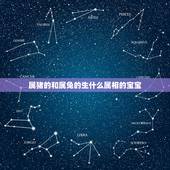 属猪的和属兔的生什么属相的宝宝，属龙的和属猪能相配吗