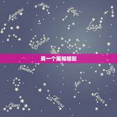 男一个属相婚配，十二生肖男女婚配属相？