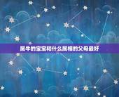 属牛的宝宝和什么属相的父母最好，属鼠 母亲属牛小孩什么属相最好