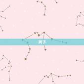 丙子 己亥 癸亥 戊午，癸亥戊午乙未丙子