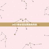 2023年必定生男孩的月份，清宫图2023年生男生女表怎么算