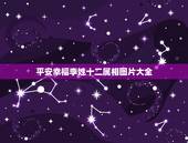 平安幸福李姓十二属相图片大全，十二生肖最漂亮的是什么